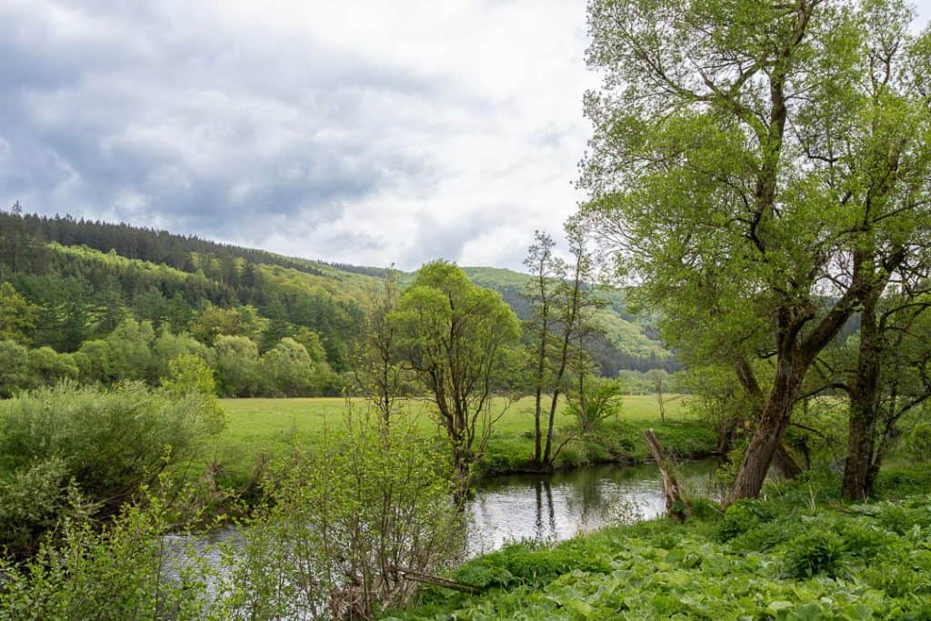 Campagne allemande-1