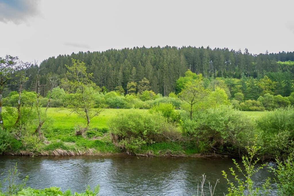 Campagne allemande