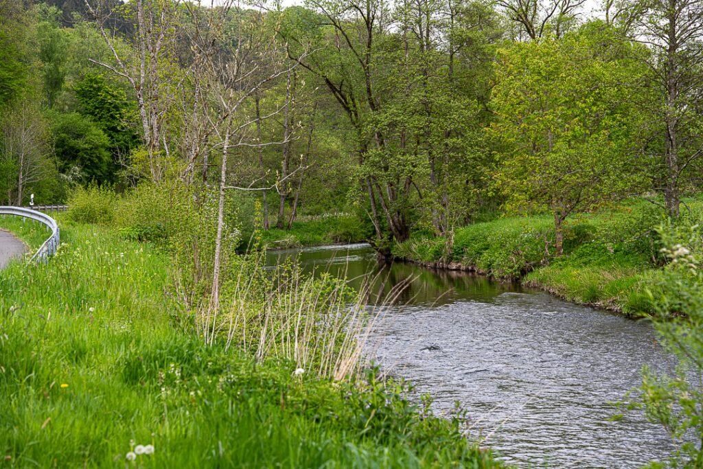 campagne allemande-3